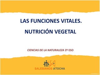 LAS FUNCIONES VITALES.
NUTRICIÓN VEGETAL
CIENCIAS DE LA NATURALEZA 2º ESO