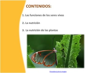 CONTENIDOS:
1. Las funciones de los seres vivos
2. La nutrición
3. La nutrición de las plantas
Procedencia de la imagen