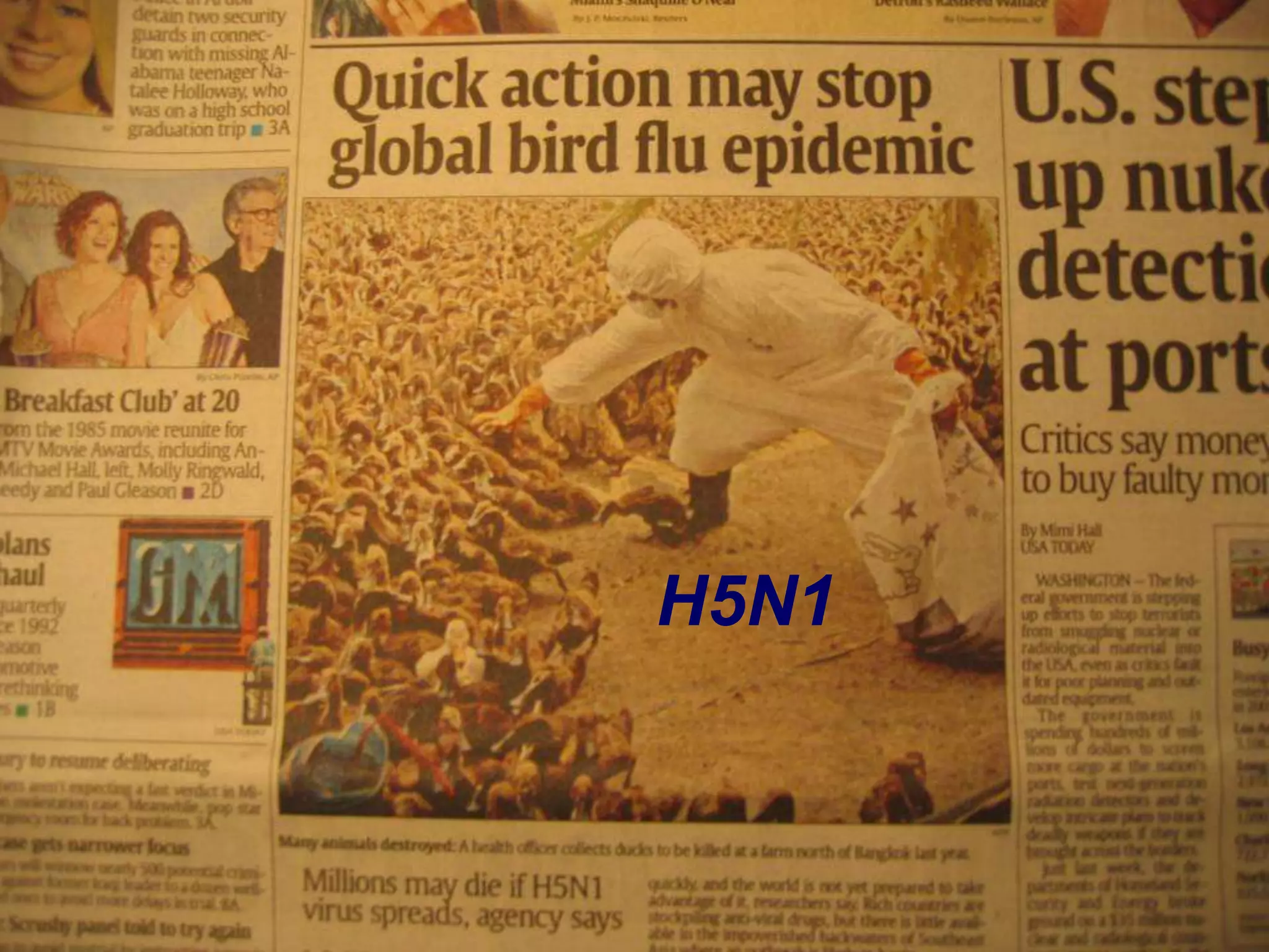 H5N1
 