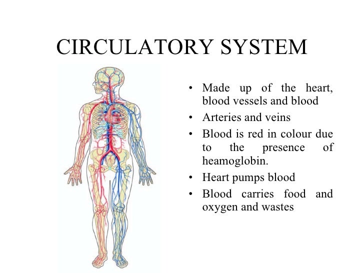 9. human body 9. human body