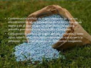 • Contaminación artificial de origen urbano en las que nos
encontramos las aguas procedentes de los domicilios, aguas
negras y en el caso de que la composición sea variada,
presenta gran cantidad de organismos y patógenos.
• Contaminación artificial de origen agrícola: contaminan tanto
aguas superficiales como aguas subterráneas que surten a la
población . Entre ellas destacan los fertilizantes inorgánicos.
 
