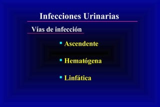 Vías de infección Infecciones Urinarias Ascendente Hematógena Linfática 