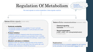 Regulation Of Metabolism
We need signals to control metabolism, these signals could be:
Intercellular communications (between cells):
- Chemical signaling
(hormones: first messenger)
- Second messengers:
(cAMP, cGMP, Ca++/phosphatidylinositol)
*c means cyclic
Intracellular signals (inside cells):
this kind of regulation is fast
- Substrate availability
(If substrate needed is not available > it won’t activate
If substrate needed is available > it will activate and make
product)
- Product inhibition
(Feedback inhibition happens when the end product of a
metabolic pathway exceeds its concentration limit, it inhibits
the regulatory enzyme to normalize the pathway -output used
as input- )
- Allosteric activators or inhibitors
(Happens when an effector molecule binds at the protein's
allosteric site -which is a site other than the active site- and
that can either activate or inhibit the process)
We regulate
metabolism by
regulating enzymes.
Explanation:
A hormone binds to a receptor outside the cell, leading
to the activation of cell messengers inside the cell.
Some notes in this slide were taken from teams 435 & 436
 