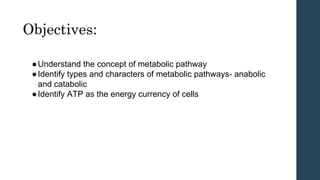 Objectives:
●Understand the concept of metabolic pathway
●Identify types and characters of metabolic pathways- anabolic
and catabolic
●Identify ATP as the energy currency of cells
 