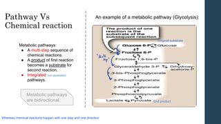 Pathway Vs
Chemical reaction
Metabolic pathways:
● A multi-step sequence of
chemical reactions.
● A product of first reaction
becomes a substrate for
second reaction.
● Integrated (not separated)
pathways.
Metabolic pathways
are bidirectional.
An example of a metabolic pathway (Glycolysis):
Original substrate
End product
Whereas chemical reactions happen with one step and one direction
 