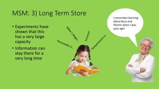 Msm Memory Store 9 intro to multi-store model of memory | PPTX