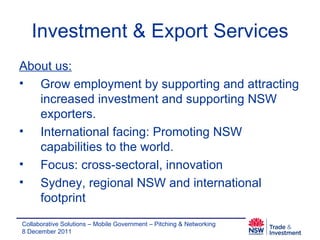 Investment & Export Services - Carolin Lenehan 