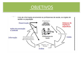OBJETIVOS
 