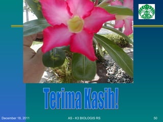 AS - K3 BIOLOGIS RS December 18, 2011 Terima Kasih! 