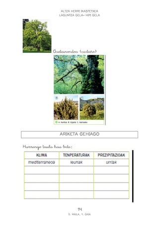 ALTZA HERRI IKASTETXEA
                 LAGUNTZA GELA- HIPI GELA




              Gaztainondoa (castaño)




                 ARIKETA GEHIAGO

Hurrengo taula hau bete:




                            14
                      5. MAILA, 9. GAIA
 
