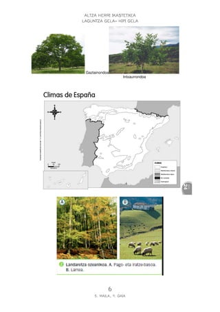 ALTZA HERRI IKASTETXEA
LAGUNTZA GELA- HIPI GELA




 Gaztainondoa
                    Intxaurrondoa




            6
     5. MAILA, 9. GAIA
 