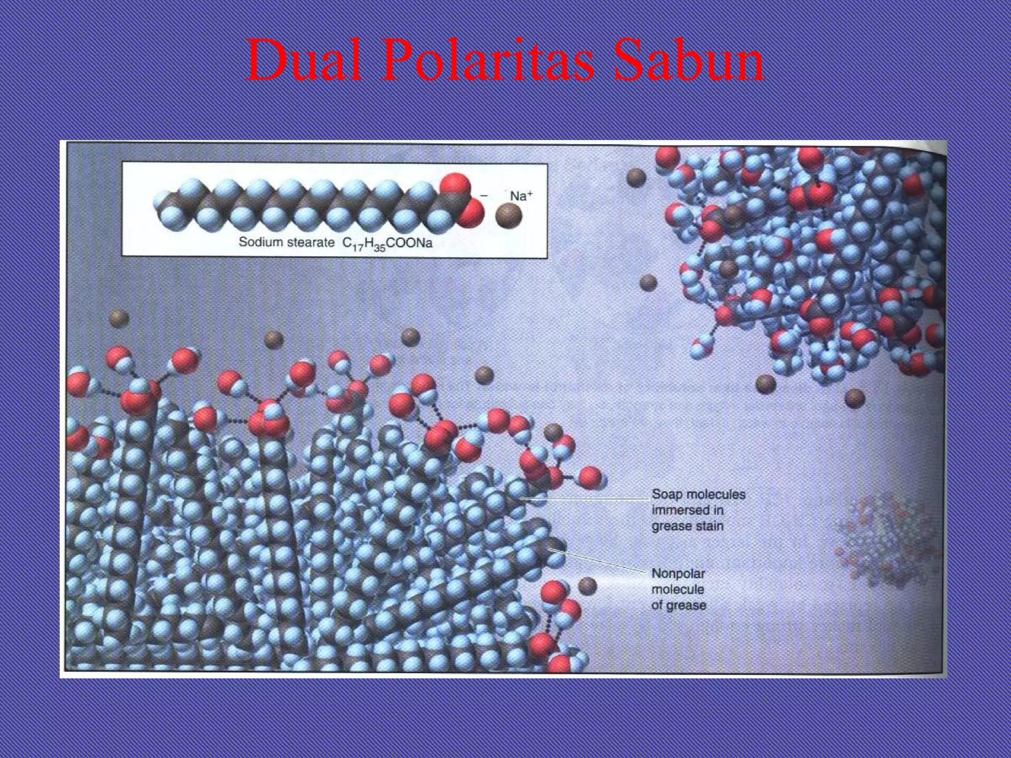Dual Polaritas Sabun
 