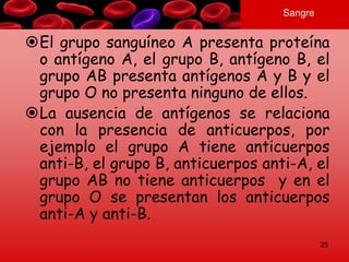 Sangre
El grupo sanguíneo A presenta proteína
o antígeno A, el grupo B, antígeno B, el
grupo AB presenta antígenos A y B y el
grupo O no presenta ninguno de ellos.
La ausencia de antígenos se relaciona
con la presencia de anticuerpos, por
ejemplo el grupo A tiene anticuerpos
anti-B, el grupo B, anticuerpos anti-A, el
grupo AB no tiene anticuerpos y en el
grupo O se presentan los anticuerpos
anti-A y anti-B.
25
 