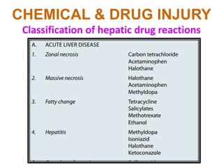 LIVER & GALLBLADDER: CHEMICAL & DRUG INJURY | PPTX