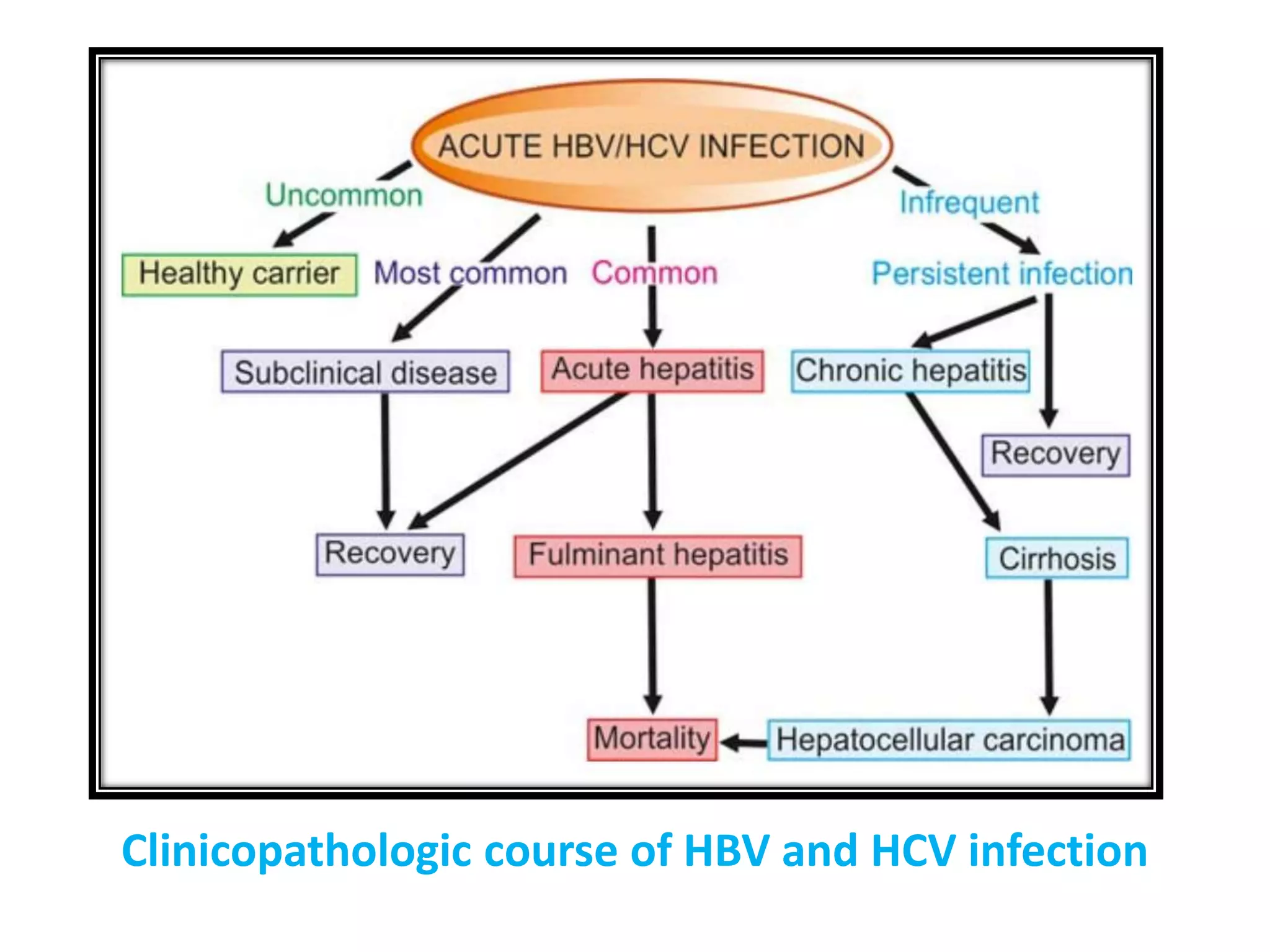 THE LIVER: ACUTE & CHRONIC HEPATITIS | PPTX