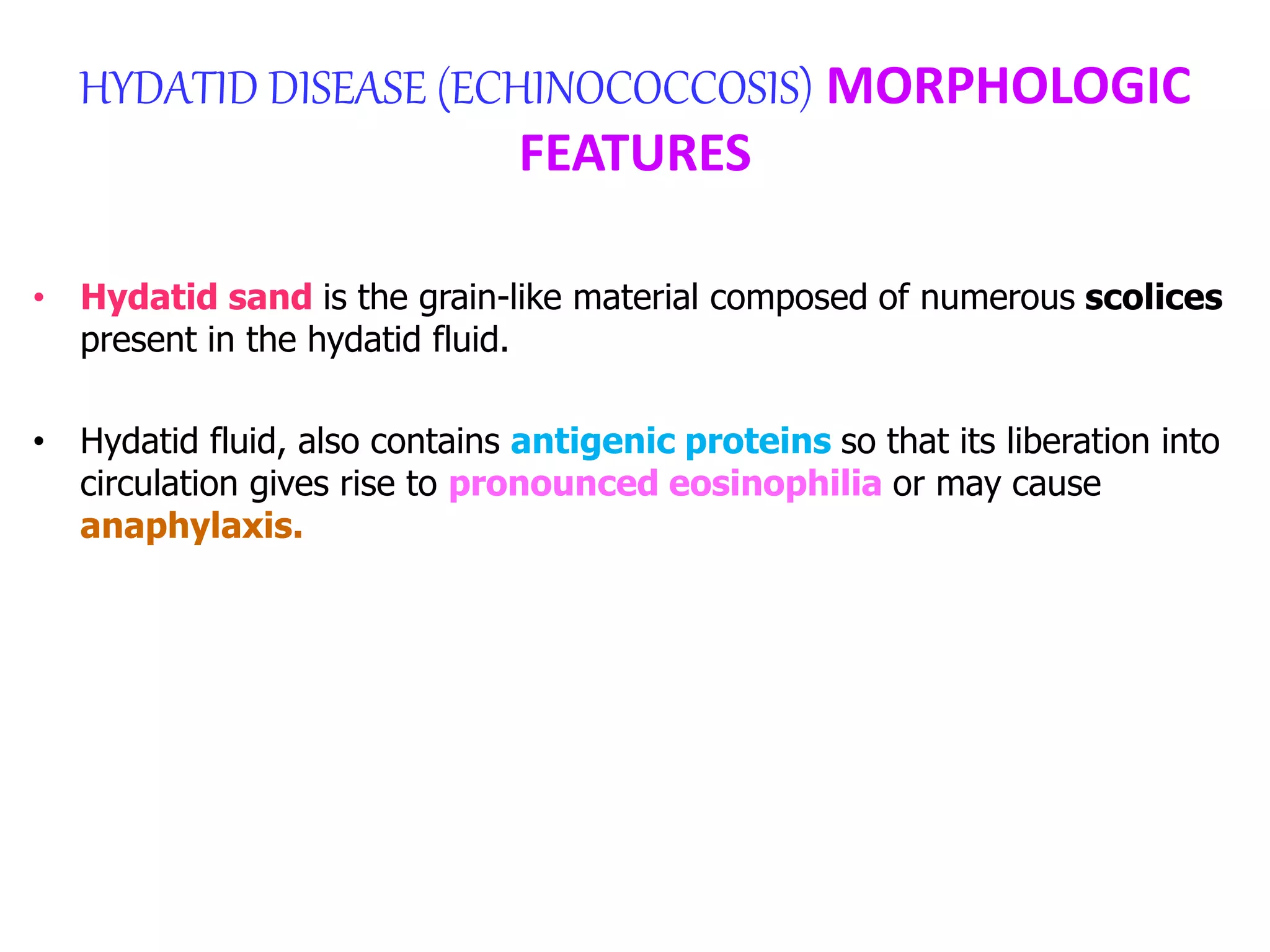 THE LIVER: ACUTE & CHRONIC HEPATITIS | PPTX