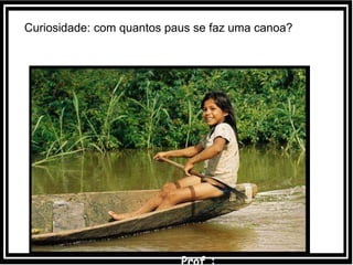 Curiosidade: com quantos paus se faz uma canoa?
 