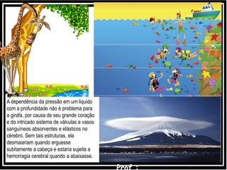 A dependência da pressão em um liquido
com a profundidade não é problema para
a girafa, por causa de seu grande coração
e do intricado sistema de válvulas e vasos
sanguíneos absorventes e elásticos no
cérebro. Sem tais estruturas, ela
desmaiariam quando erguesse
subitamente a cabeça e estaria sujeita a
hemorragia cerebral quando a abaixasse.
 