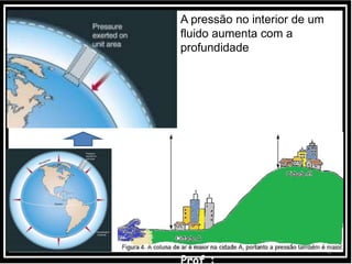 88
A pressão no interior de um
fluido aumenta com a
profundidade
 