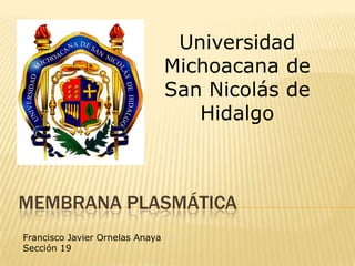 Universidad
                                 Michoacana de
                                 San Nicolás de
                                    Hidalgo



MEMBRANA PLASMÁTICA
Francisco Javier Ornelas Anaya
Sección 19
 