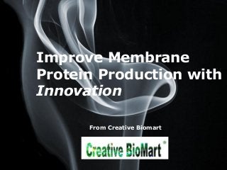Page 1
Improve Membrane
Protein Production with
Innovation
From Creative Biomart
 