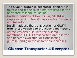 Glucose Transporter 4 Receptor
 The GLUT4 protein is expressed primarily in
muscle and fat cells, the major tissues in the
body that respond to insulin.
 Under conditions of low insulin, GLUT4 is
sequestered in intracellular vesicles in muscle
and fat cells.
 Insulin induces the translocation of GLUT4
from these vesicles to the plasma membrane.
 As the vesicles fuse with the plasma
membrane, GLUT4 transporters are inserted
and become available for transporting
glucose, and glucose absorption increases.
 