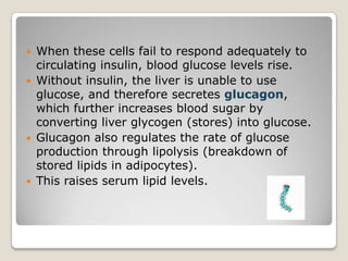  When these cells fail to respond adequately to
circulating insulin, blood glucose levels rise.
 Without insulin, the liver is unable to use
glucose, and therefore secretes glucagon,
which further increases blood sugar by
converting liver glycogen (stores) into glucose.
 Glucagon also regulates the rate of glucose
production through lipolysis (breakdown of
stored lipids in adipocytes).
 This raises serum lipid levels.
 