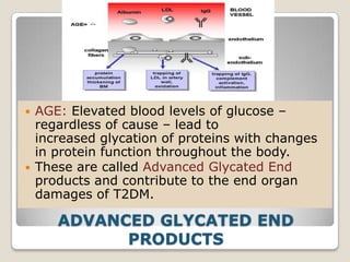 ADVANCED GLYCATED END
PRODUCTS
 AGE: Elevated blood levels of glucose –
regardless of cause – lead to
increased glycation of proteins with changes
in protein function throughout the body.
 These are called Advanced Glycated End
products and contribute to the end organ
damages of T2DM.
 