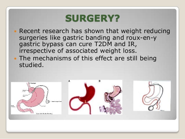 Vegetarian diet fat loss muscle gain photo 1
