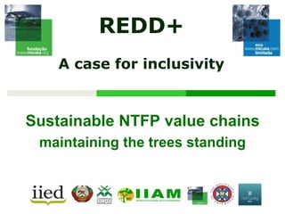 Sustainable NTFP value chains
maintaining the trees standing
REDD+
A case for inclusivity
 