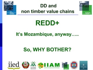 DD and
non timber value chains
REDD+
It’s Mozambique, anyway…..
So, WHY BOTHER?
 