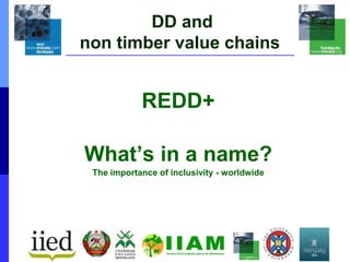 DD and
non timber value chains
REDD+
What’s in a name?
The importance of inclusivity - worldwide
 
