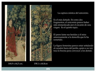 198.1 x 64.8cm 168,9 x 64,5 cm. La captura mística del unicornio. Es el más dañado. En estos dos fragmentos, el unicornio parece haber sido domesticado por el encanto de una virgen.  Es el quinto tapiz. El perro lame sus heridas y él mira amorosamente a la doncella que le ha sometido.  La figura femenina parece estar señalando al cazador fuera del jardín, quien a su vez toca la bocina para convocar a los demás. 