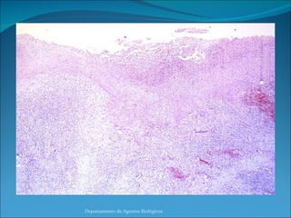 Departamento de Agentes Biológicos 