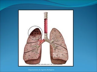 Departamento de Agentes Biológicos 
