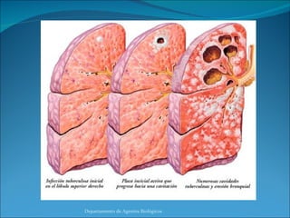 Departamento de Agentes Biológicos 