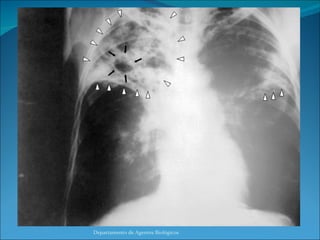 Departamento de Agentes Biológicos 