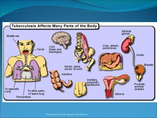 Departamento de Agentes Biológicos 