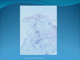 Departamento de Agentes Biológicos 