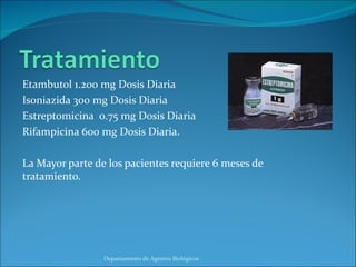 Etambutol 1.200 mg Dosis Diaria Isoniazida 300 mg Dosis Diaria Estreptomicina  0.75 mg Dosis Diaria Rifampicina 600 mg Dosis Diaria. La Mayor parte de los pacientes requiere 6 meses de tratamiento. Departamento de Agentes Biológicos 