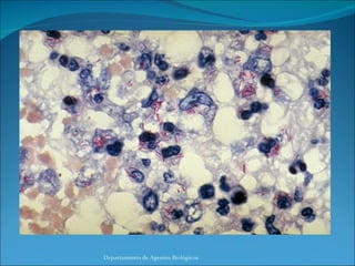 Departamento de Agentes Biológicos 