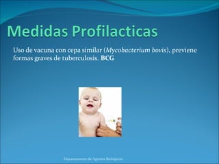 Uso de vacuna con cepa similar ( Mycobacterium bovis ), previene formas graves de tuberculosis.  BCG Departamento de Agentes Biológicos 