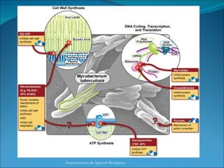 Departamento de Agentes Biológicos 
