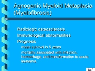 BIKHABIKHA
Agnogenic Myeloid MetaplasiaAgnogenic Myeloid Metaplasia
(Myelofibrosis)(Myelofibrosis)
Radiologic osteosclerosisRadiologic osteosclerosis
Immunological abnormalitiesImmunological abnormalities
PrognosisPrognosis
• mean survival is 5 yearsmean survival is 5 years
• mortality associated with infection,mortality associated with infection,
hemorrhage, and transformation to acutehemorrhage, and transformation to acute
leukemialeukemia
Rafi
 