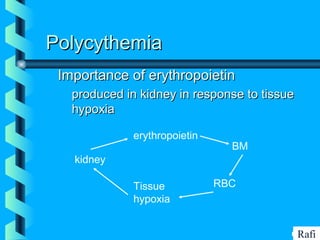 BIKHABIKHA
PolycythemiaPolycythemia
Importance of erythropoietinImportance of erythropoietin
• produced in kidney in response to tissueproduced in kidney in response to tissue
hypoxiahypoxia
erythropoietin
BM
RBCTissue
hypoxia
kidney
Rafi
 