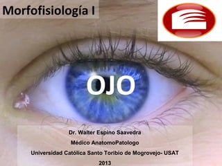 OJO
Morfofisiología I
Dr. Walter Espino Saavedra
Médico AnatomoPatologo
Universidad Católica Santo Toribio de Mogrovejo- USAT
2013
 