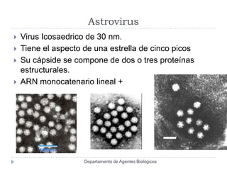 Astrovirus
   Virus Icosaedrico de 30 nm.
   Tiene el aspecto de una estrella de cinco picos
   Su cápside se compone de dos o tres proteínas
    estructurales.
   ARN monocatenario lineal +




                     Departamento de Agentes Biológicos
 