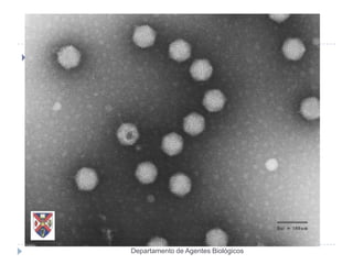    .




        Departamento de Agentes Biológicos
 
