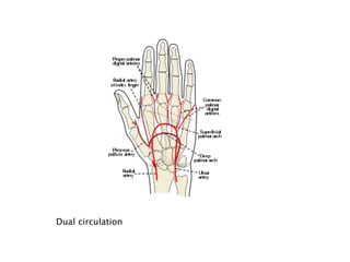 Dual circulation
 