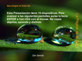 Que tengas un lindo día Esta Presentación tiene 10 diapositivas. Para avanzar a las siguientes pantallas pulsa la tecla ENTER o haz click con el mouse. No vayas deprisa, aprende y disfruta La Página de la Vida Con Sonido 